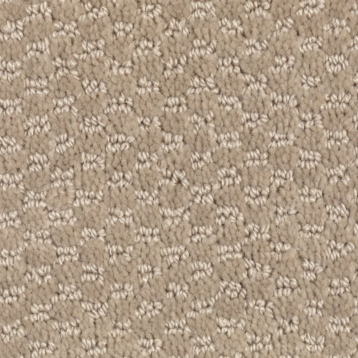 Dynamo carpet in Corkboard
