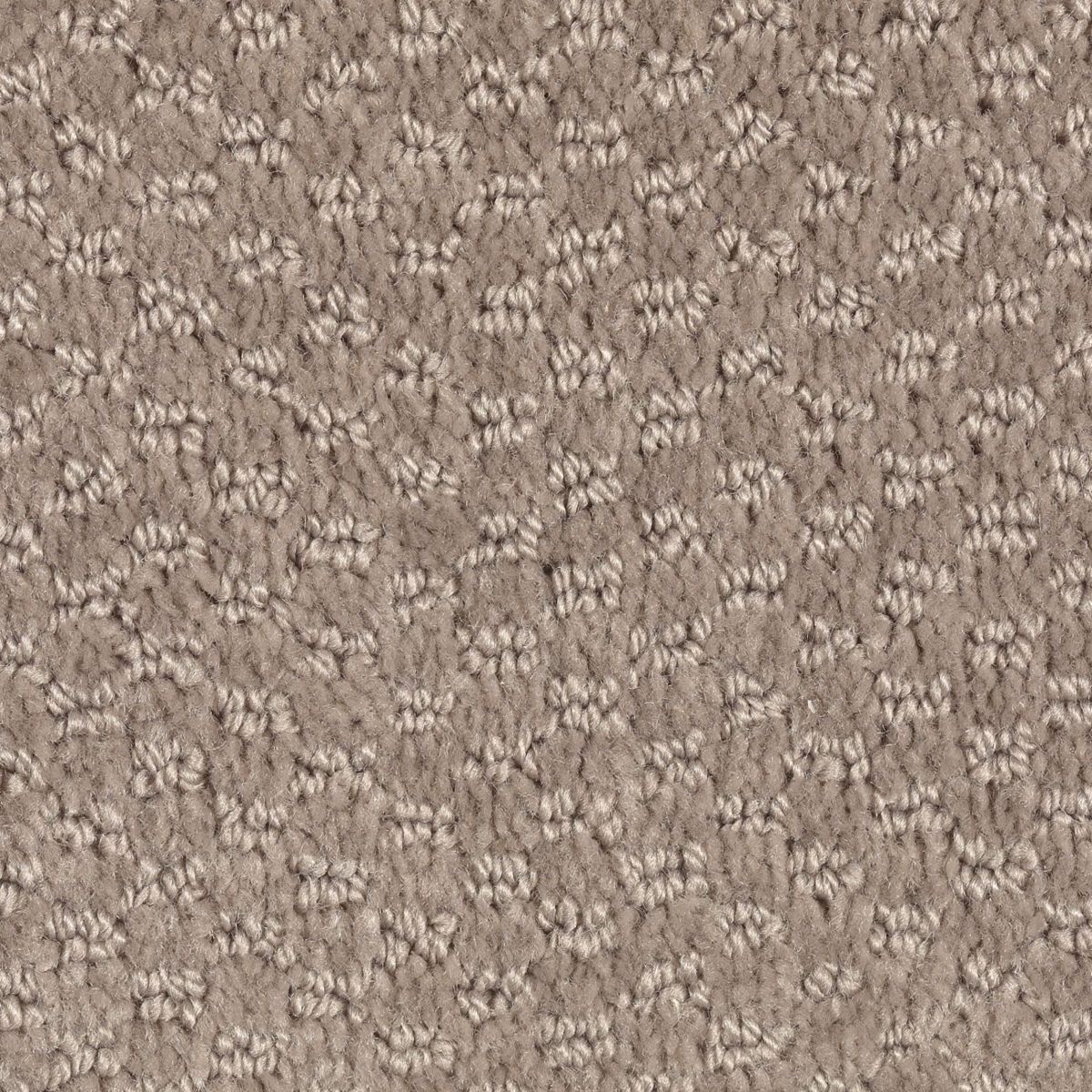 Jameson Crossing carpet in Taupe Treasure