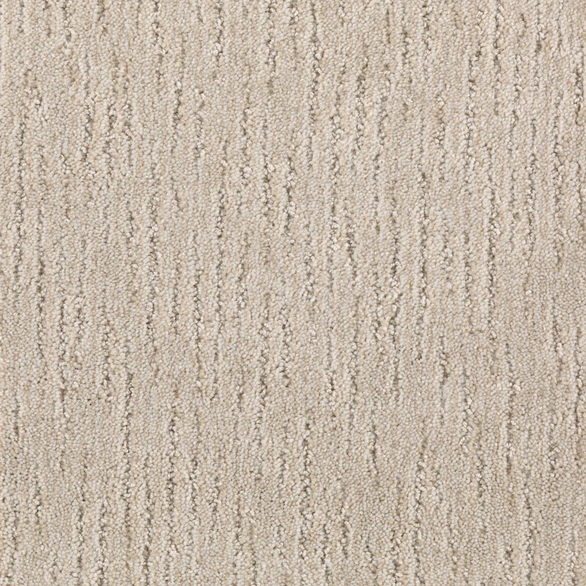 Sculptured Touch carpet in Magnolia