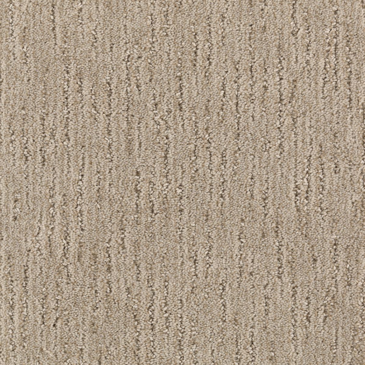 Sculptured Touch carpet in Champagne Glee