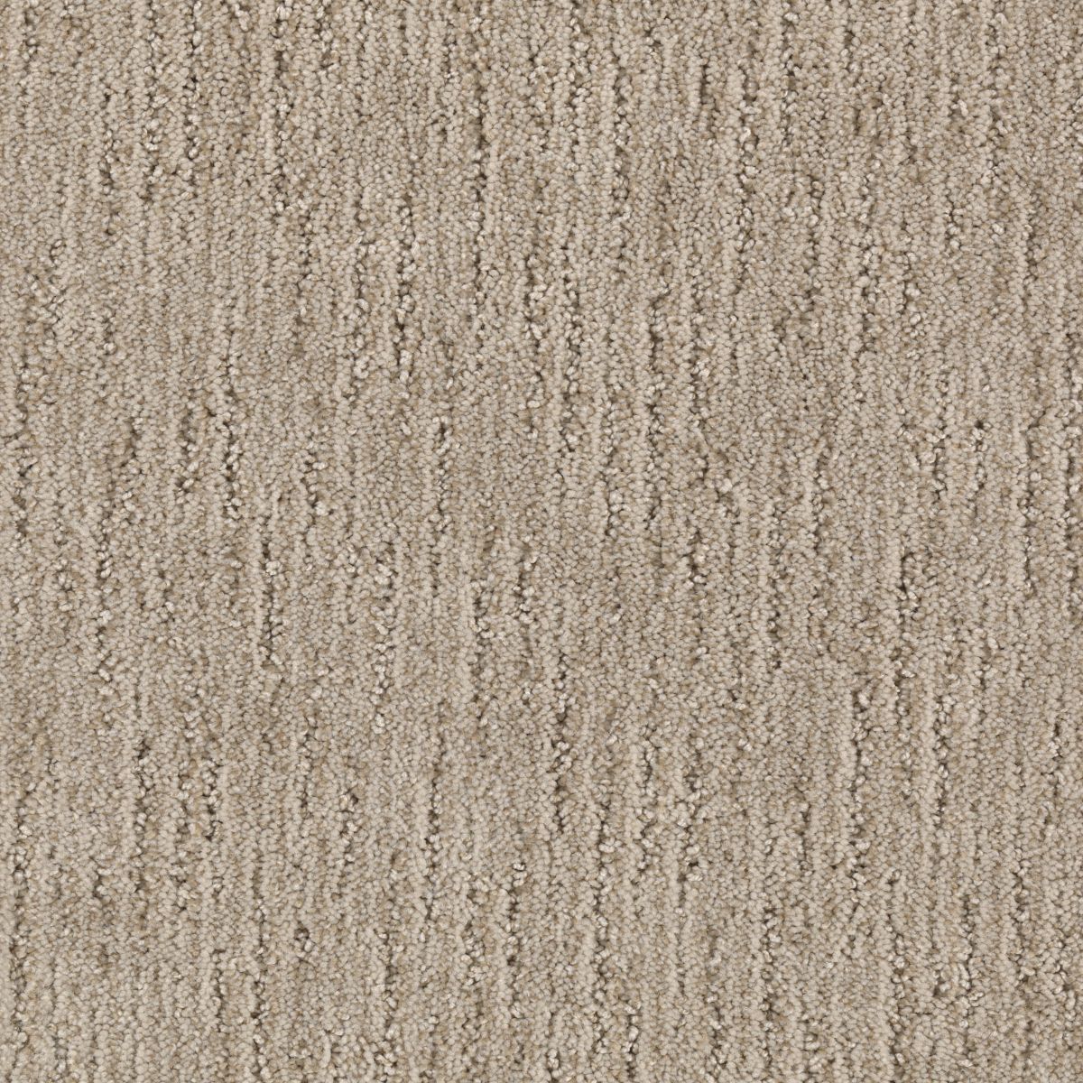 Sculptured Touch carpet in Tawny Birch