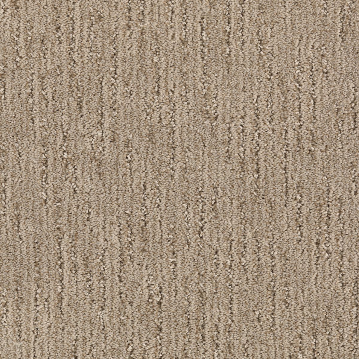 Sculptured Touch carpet in Summer Wheat