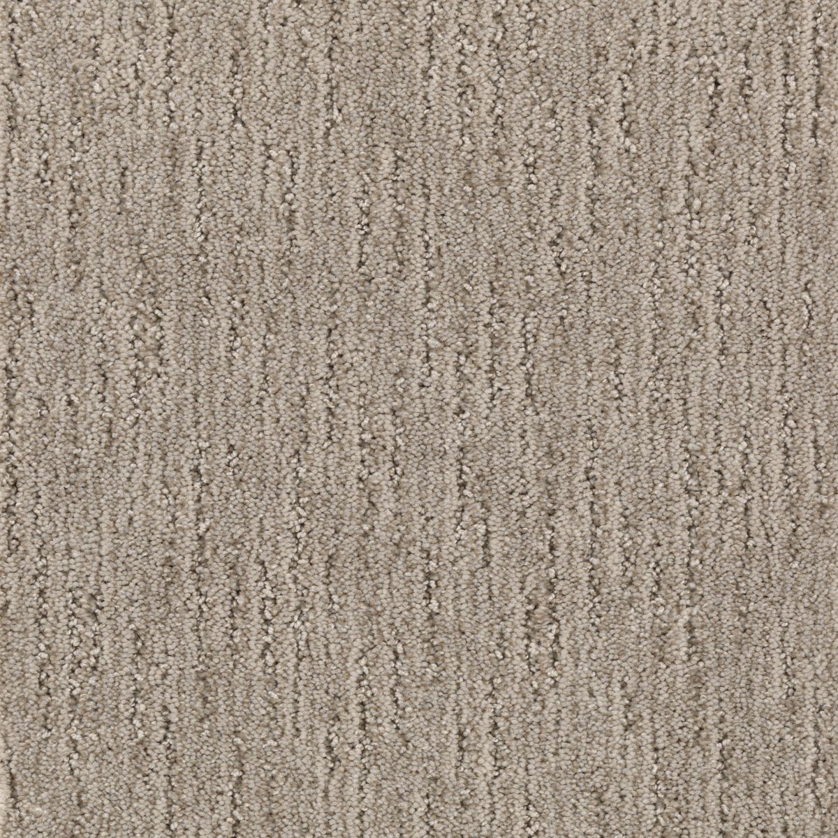 Sculptured Touch carpet in Yearling