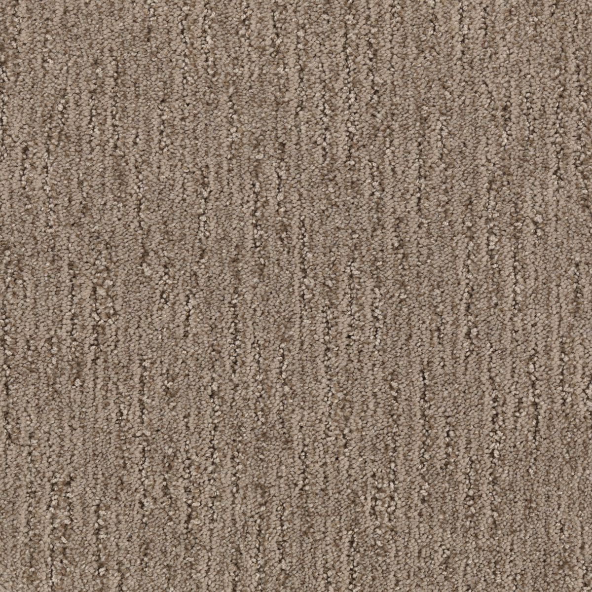 Sheer Innovation carpet in Bridle