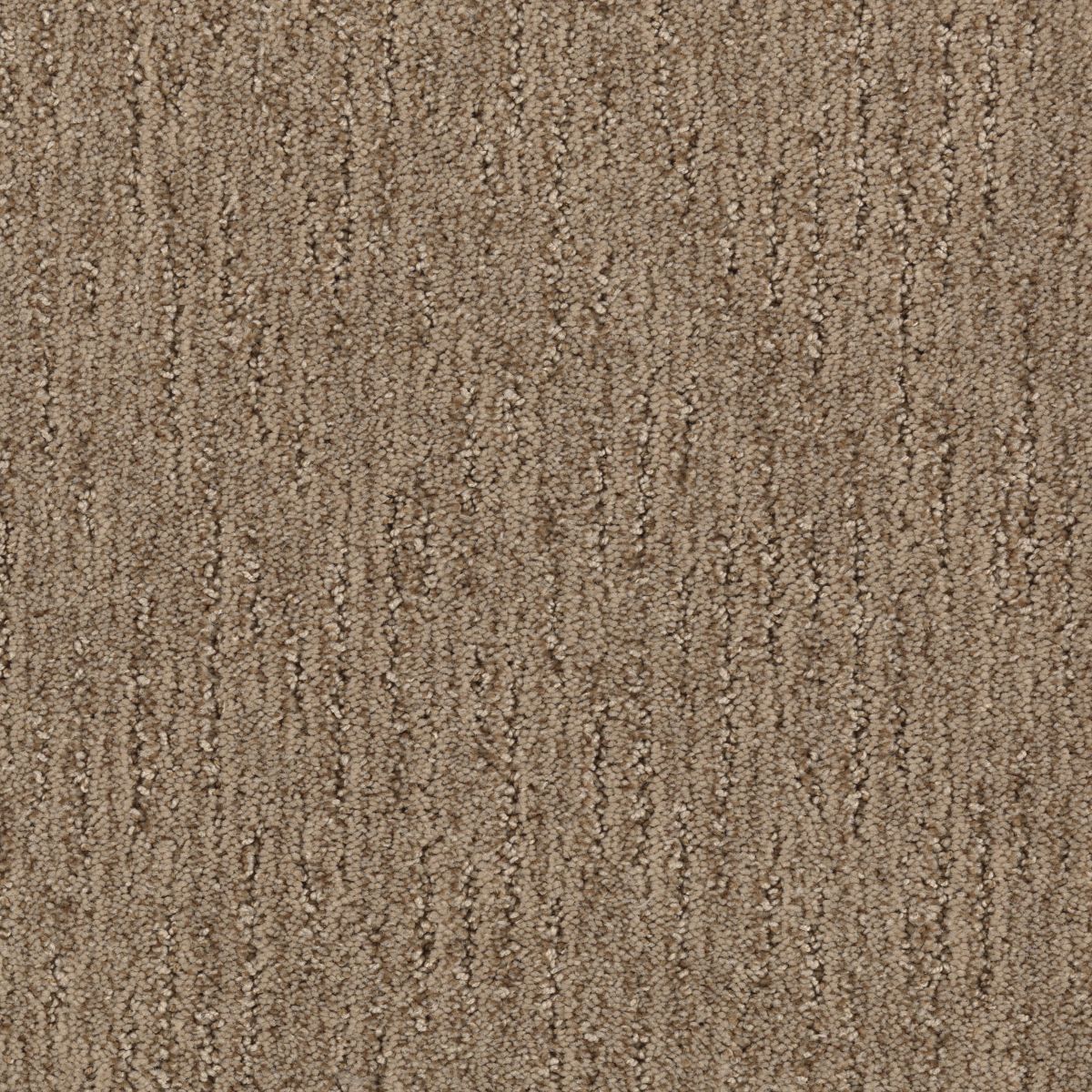 Sheer Innovation carpet in Crystallized Ginger