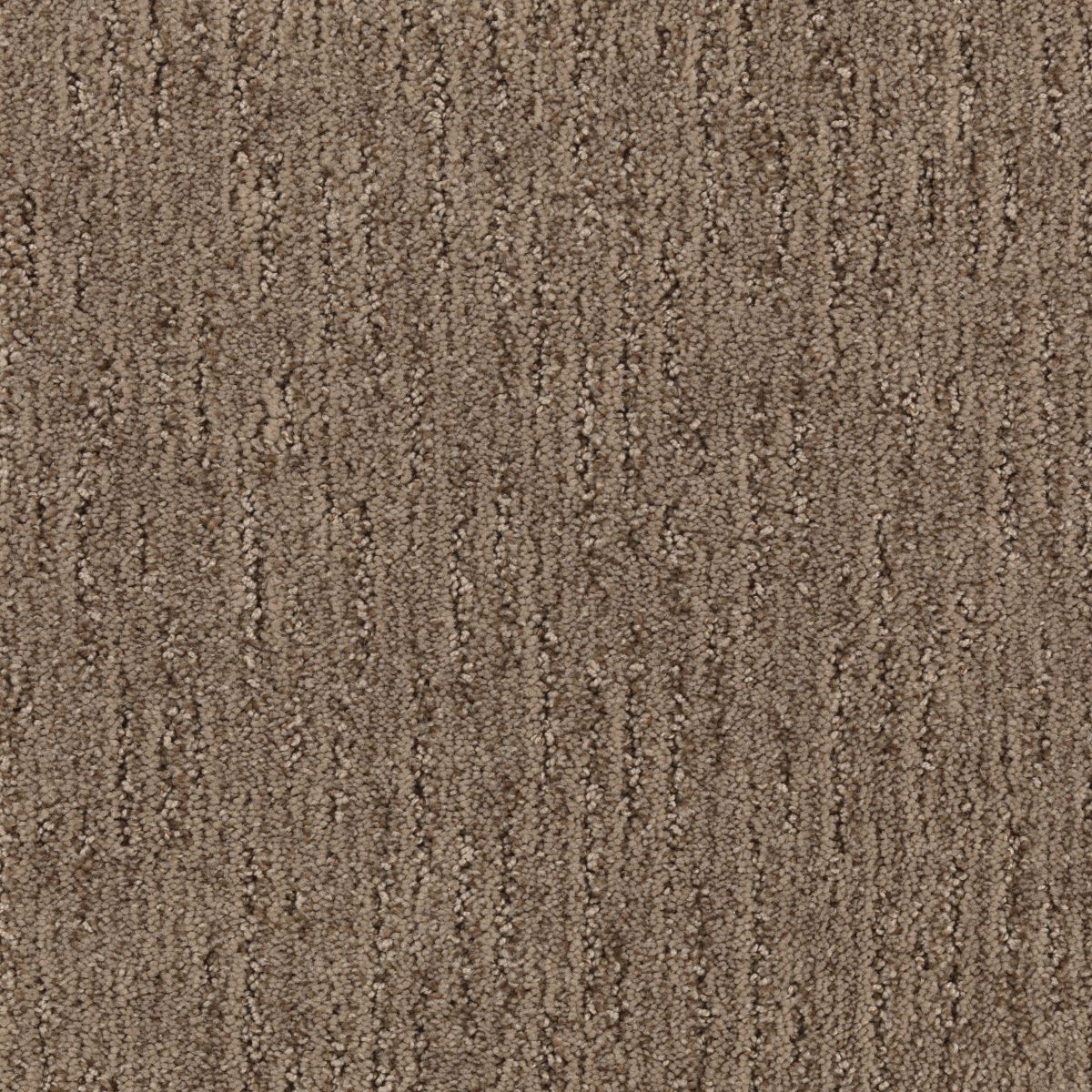 Sculptured Touch carpet in Honeyed Bronze