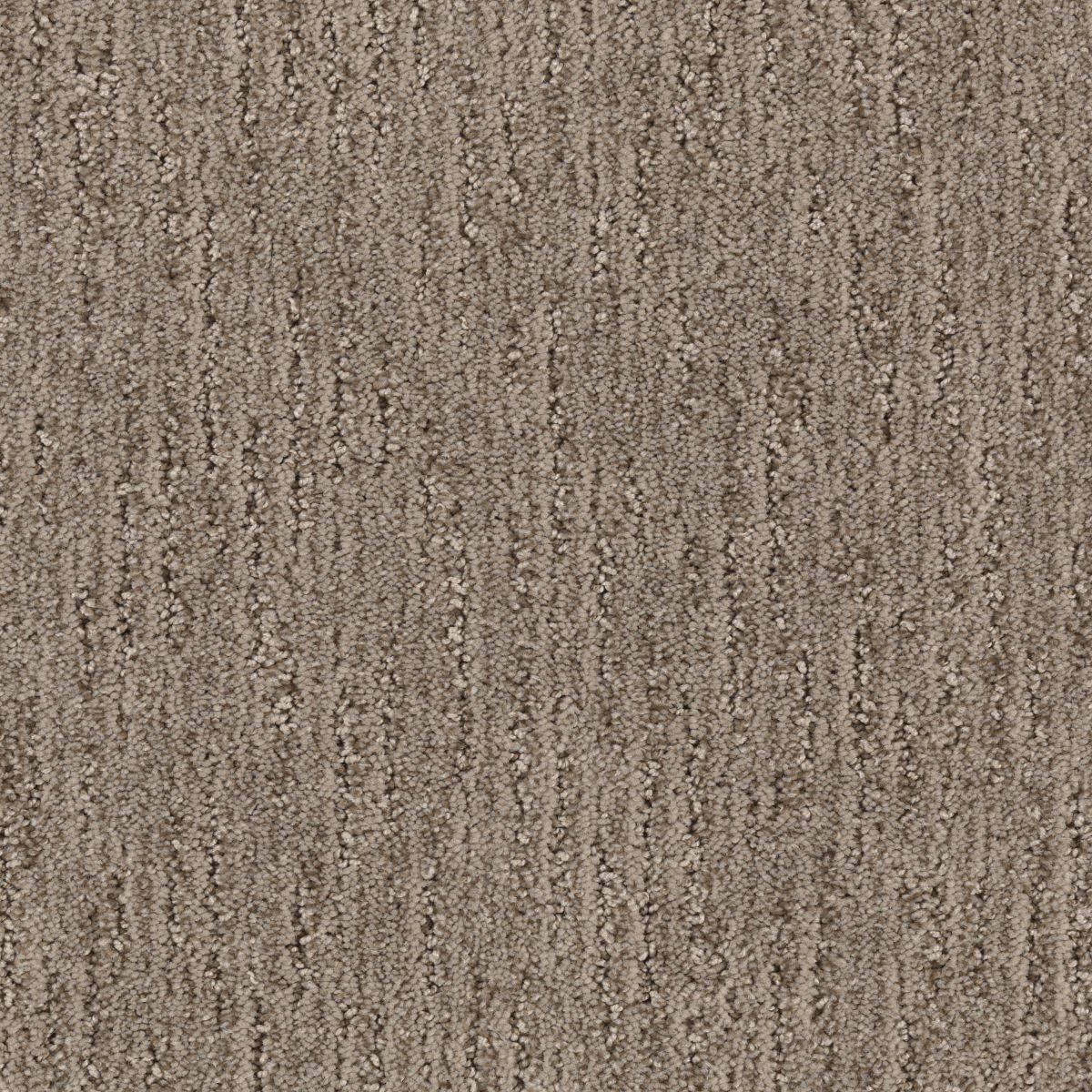 Sculptured Touch carpet in Sumatra Blend