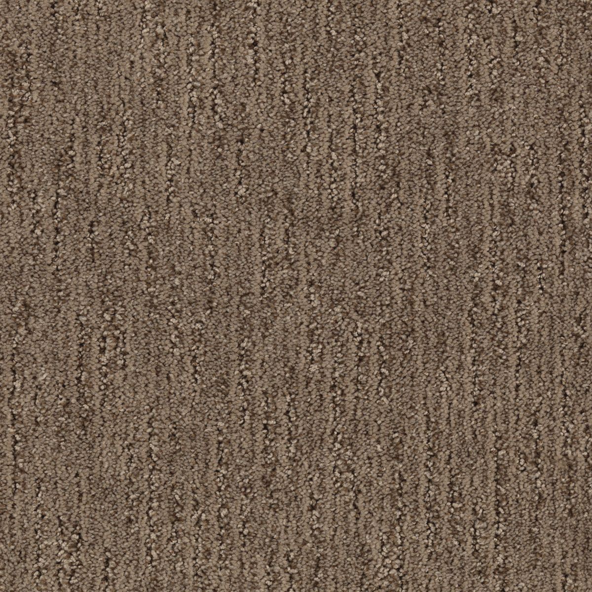 Sculptured Touch carpet in Hickory Stick