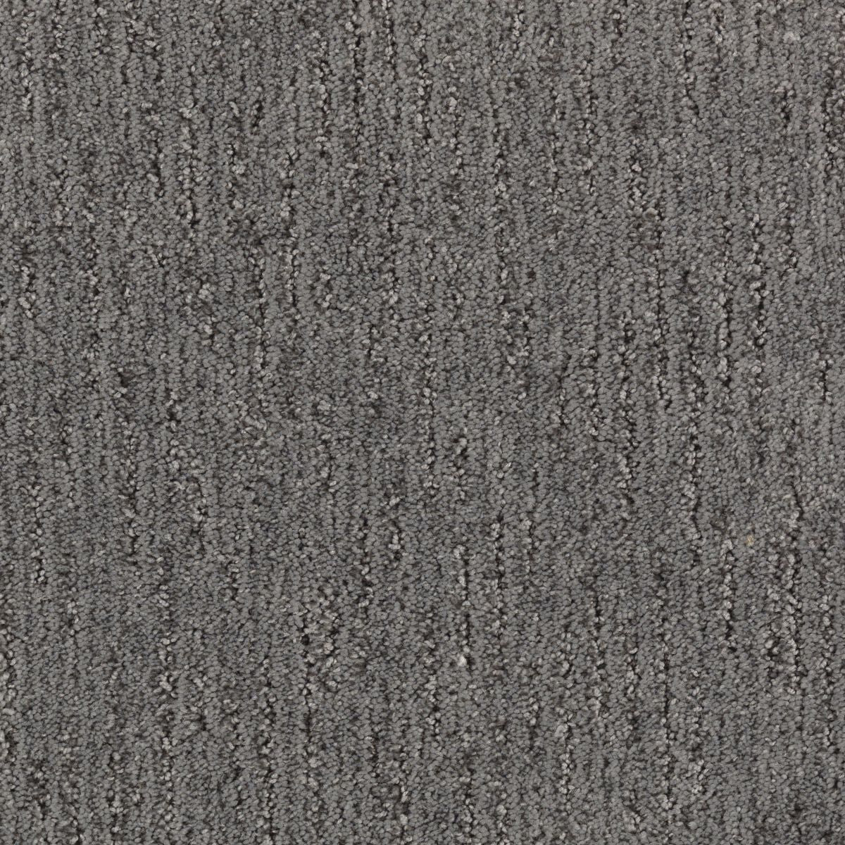Sculptured Touch carpet in Sable Evening