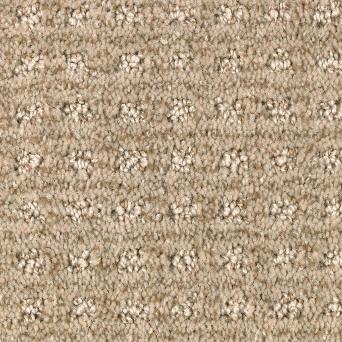 Design Solutions carpet in Honey Butter