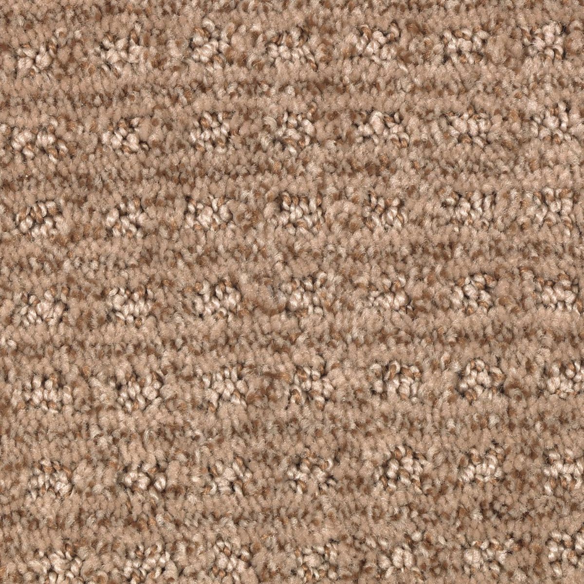 Design Solutions carpet in Pecan Delight
