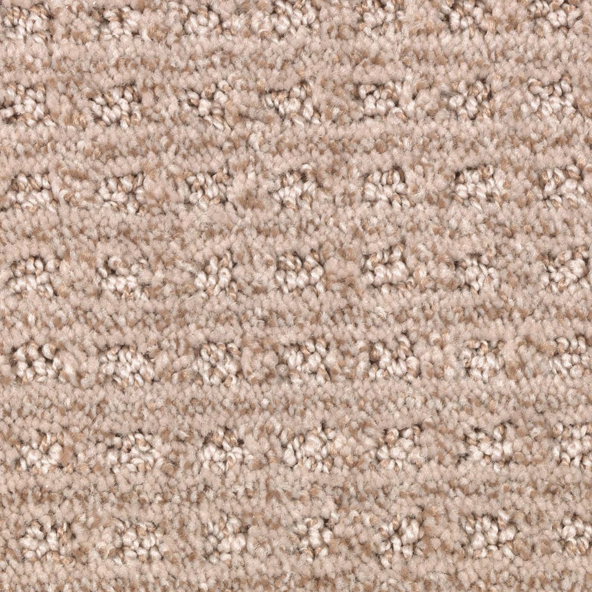 Design Solutions carpet in Gobi Sands