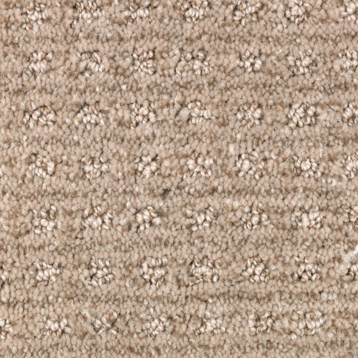 Design Solutions carpet in Gentle Doe