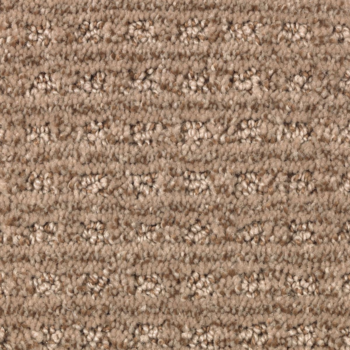 Design Solutions carpet in Woodland