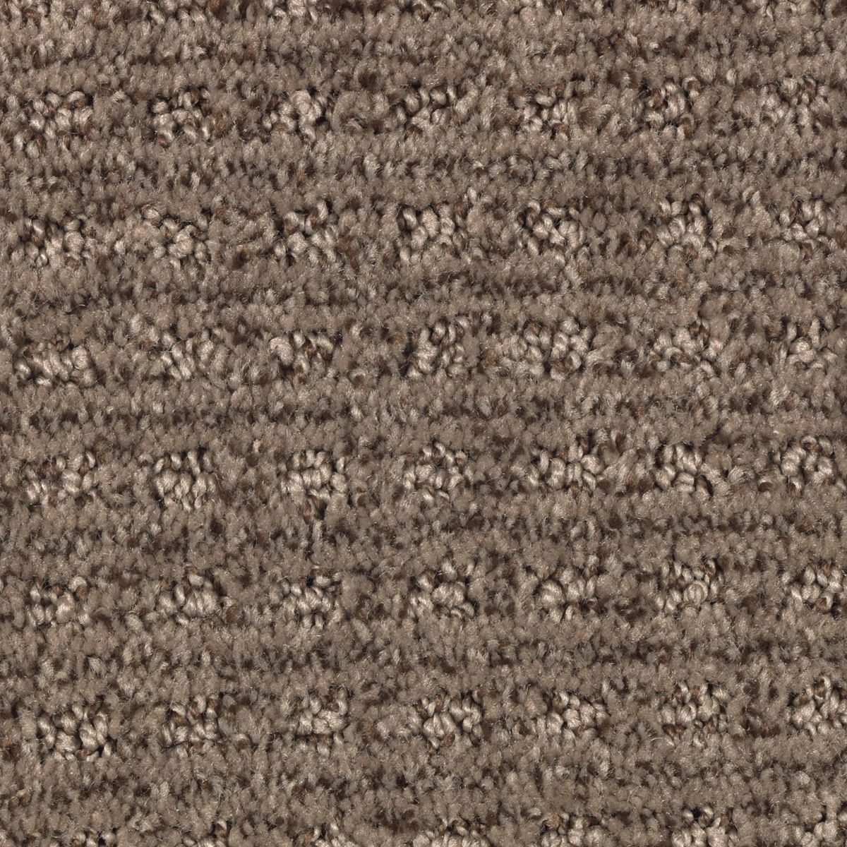 Design Solutions carpet in Bittersweet