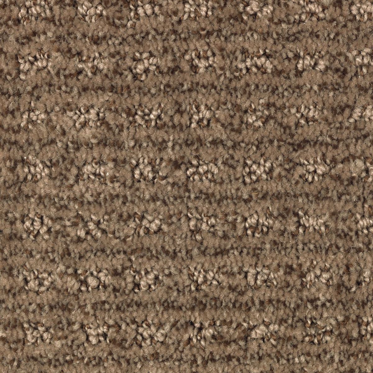 Design Solutions carpet in English Toffee