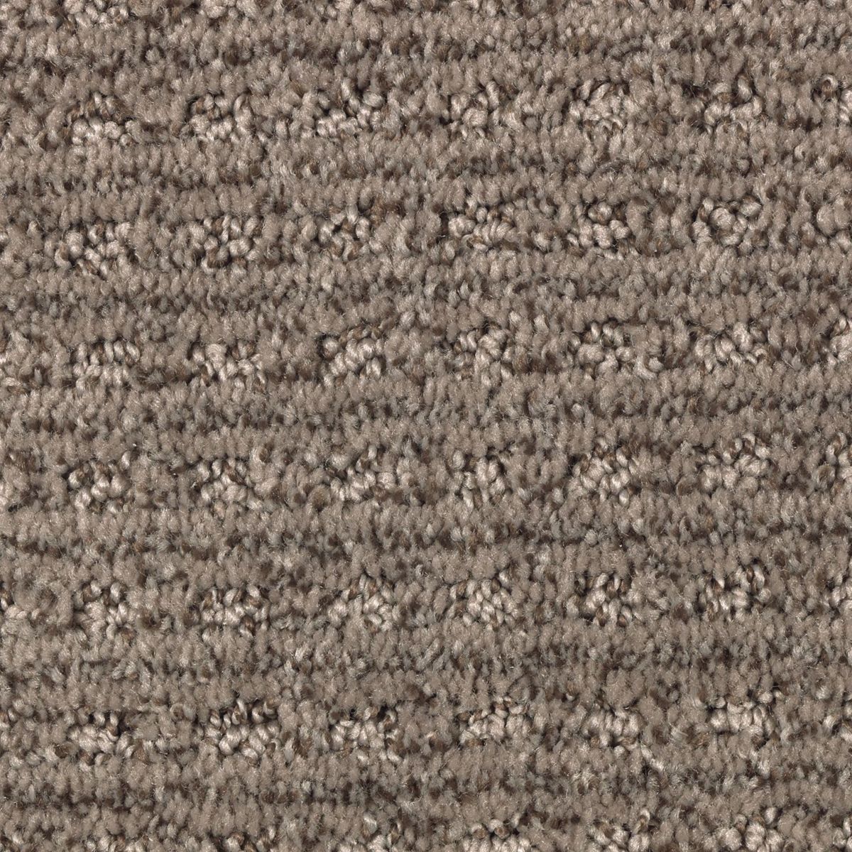 Design Solutions carpet in Rustic Taupe