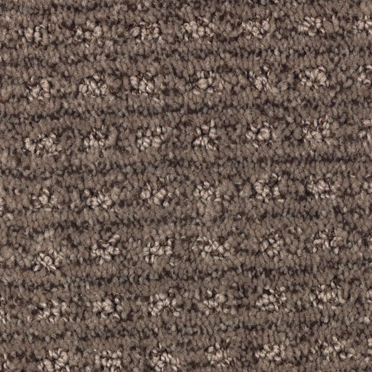 Design Solutions carpet in Deep Sable