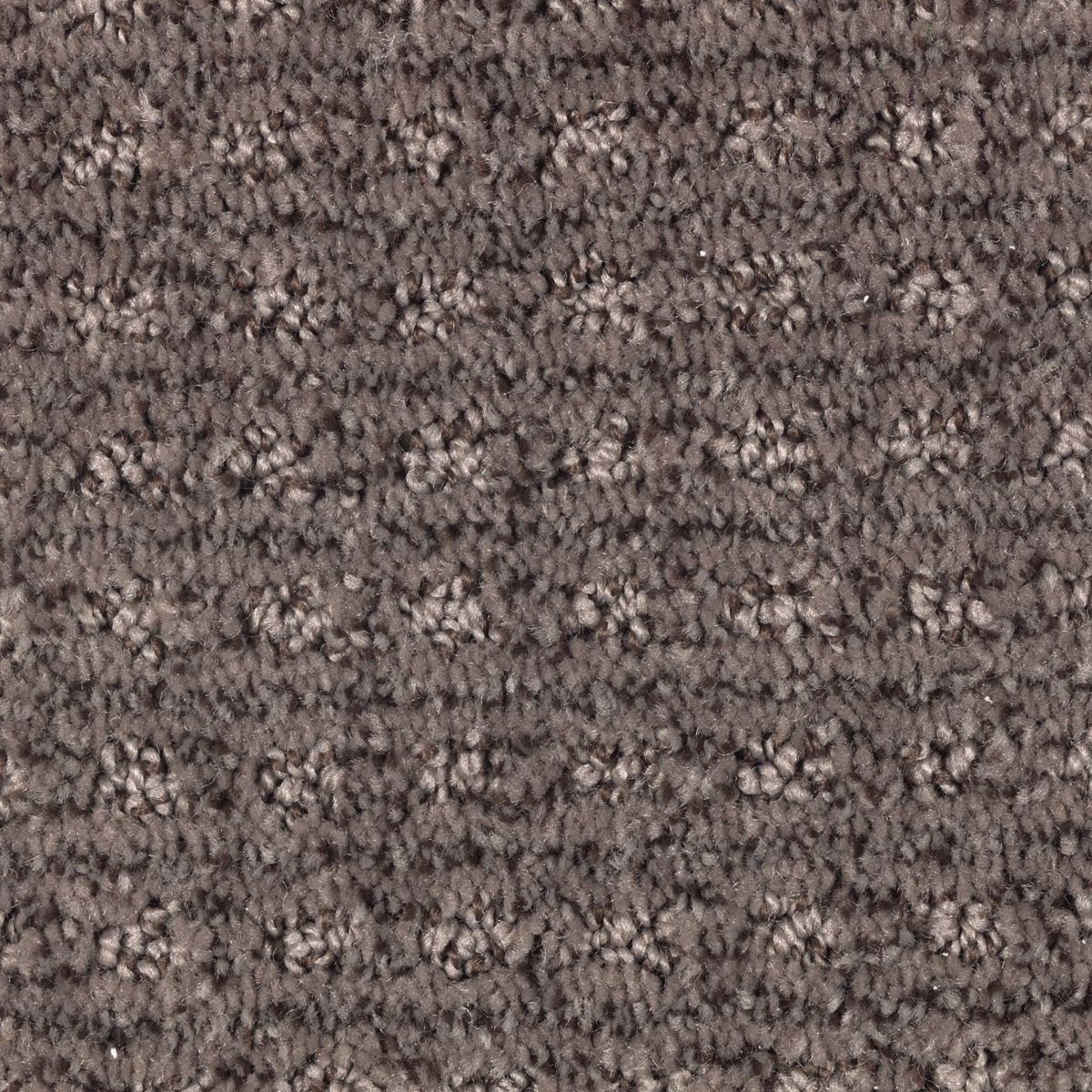 Design Solutions carpet in Black Walnut