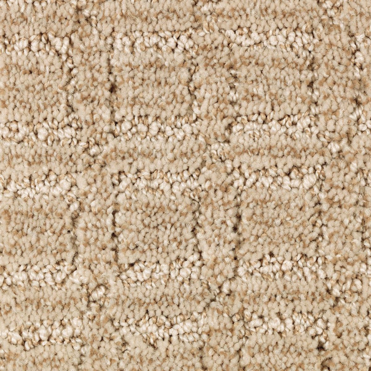 Refined Interest carpet in Honey Butter