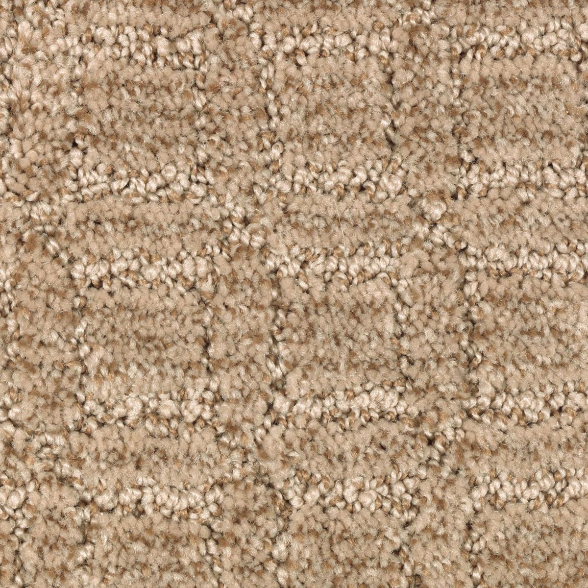 Refined Interest carpet in Pecan Delight