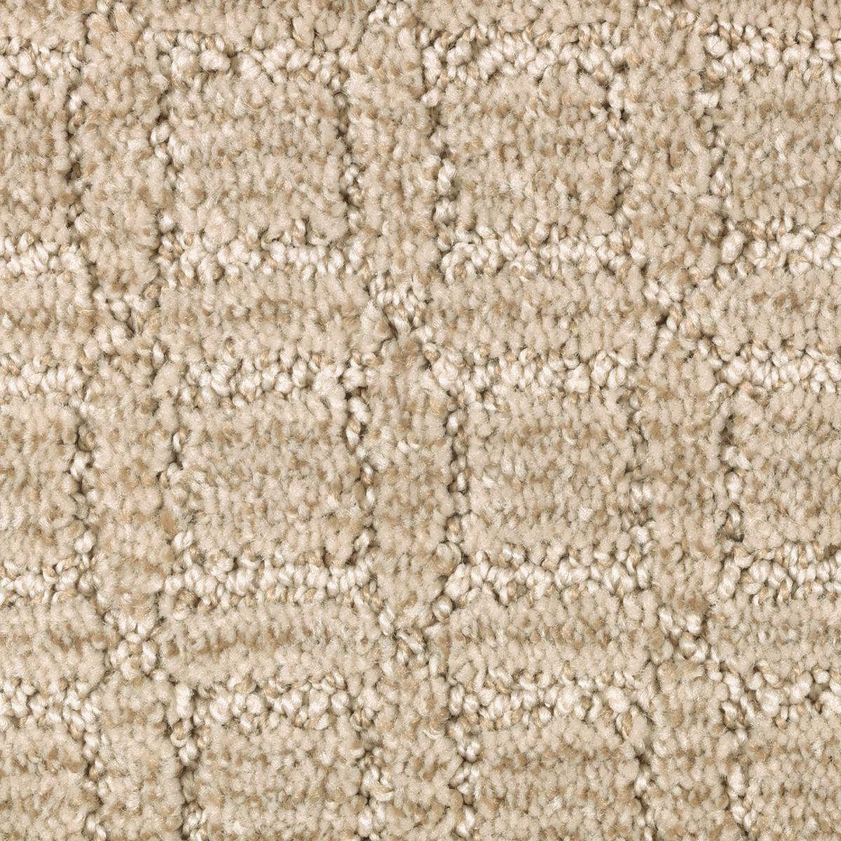 Flawless Appeal carpet in Gobi Sands