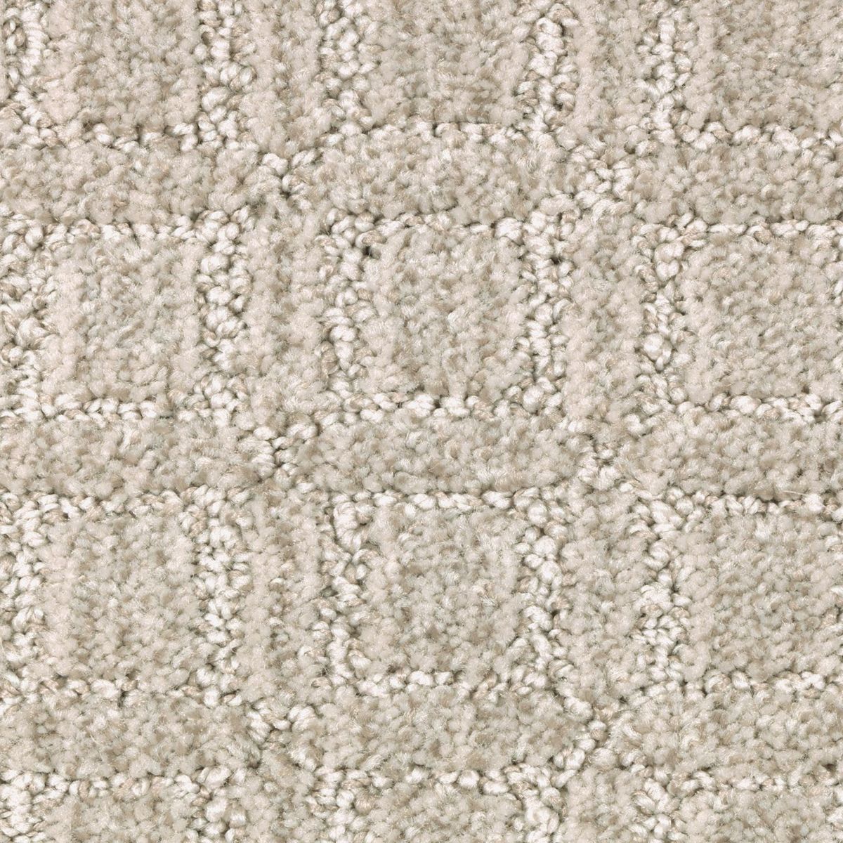 Refined Interest carpet in Winter Delta