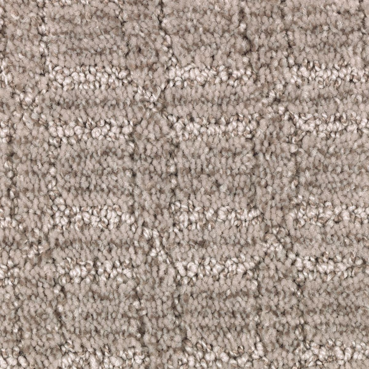 Flawless Appeal carpet in Twilight Jungle
