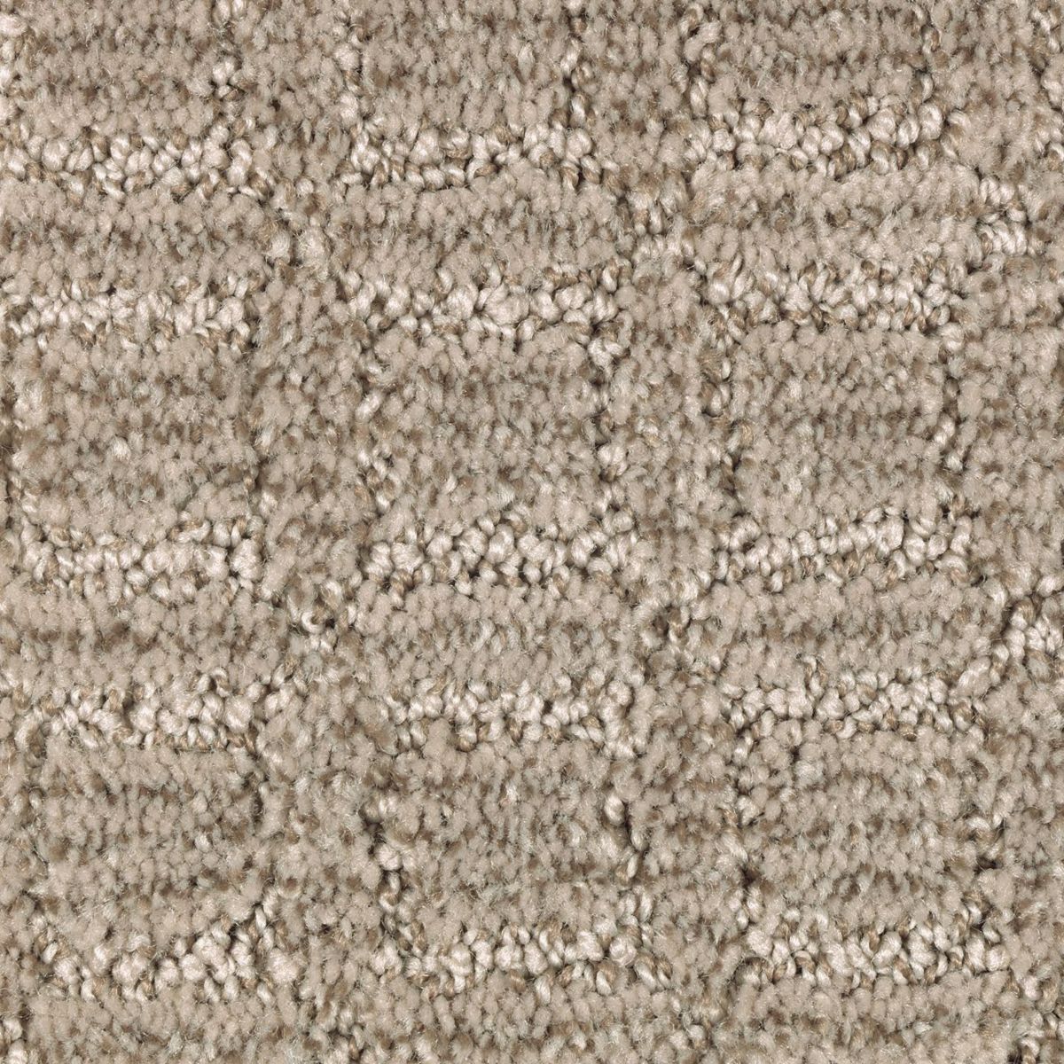 Flawless Appeal carpet in Faint Maple