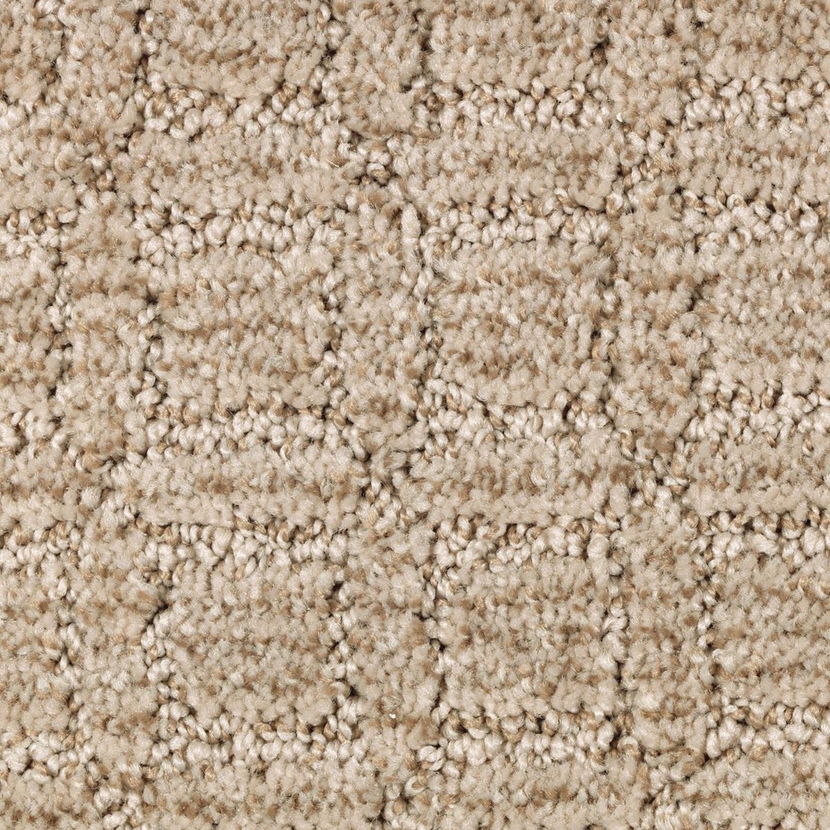 Refined Interest carpet in Gentle Doe
