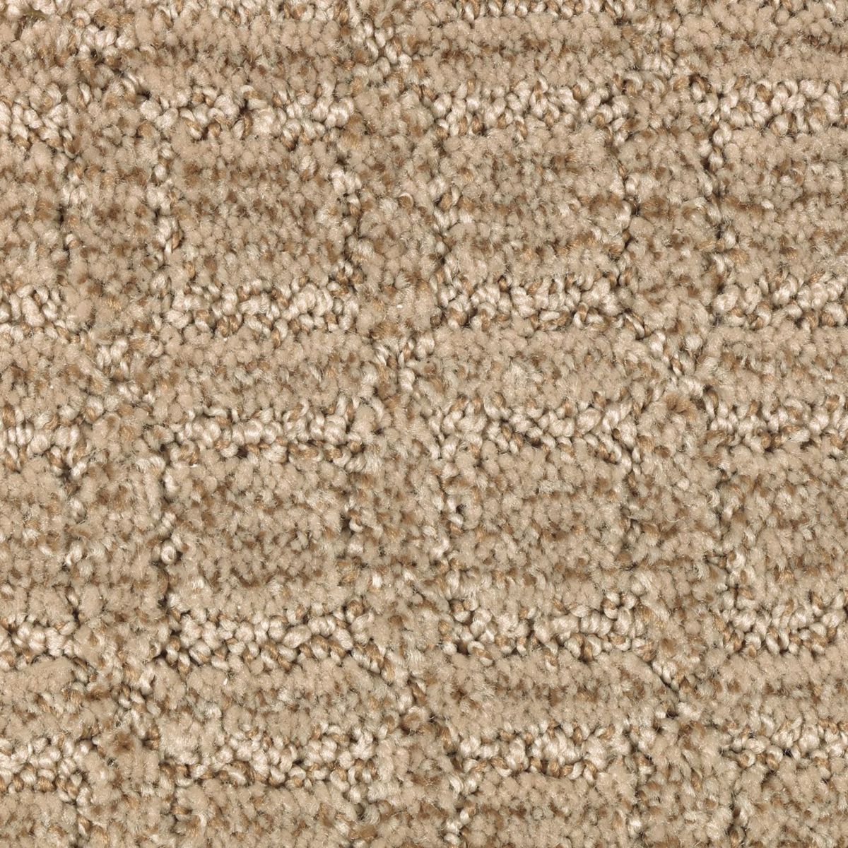 Flawless Appeal carpet in Woodland