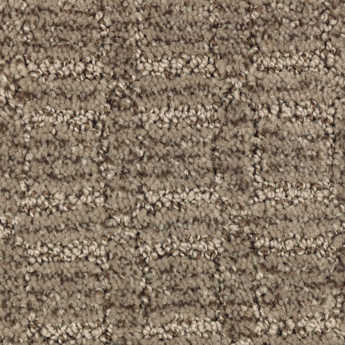 Flawless Appeal carpet in Bittersweet