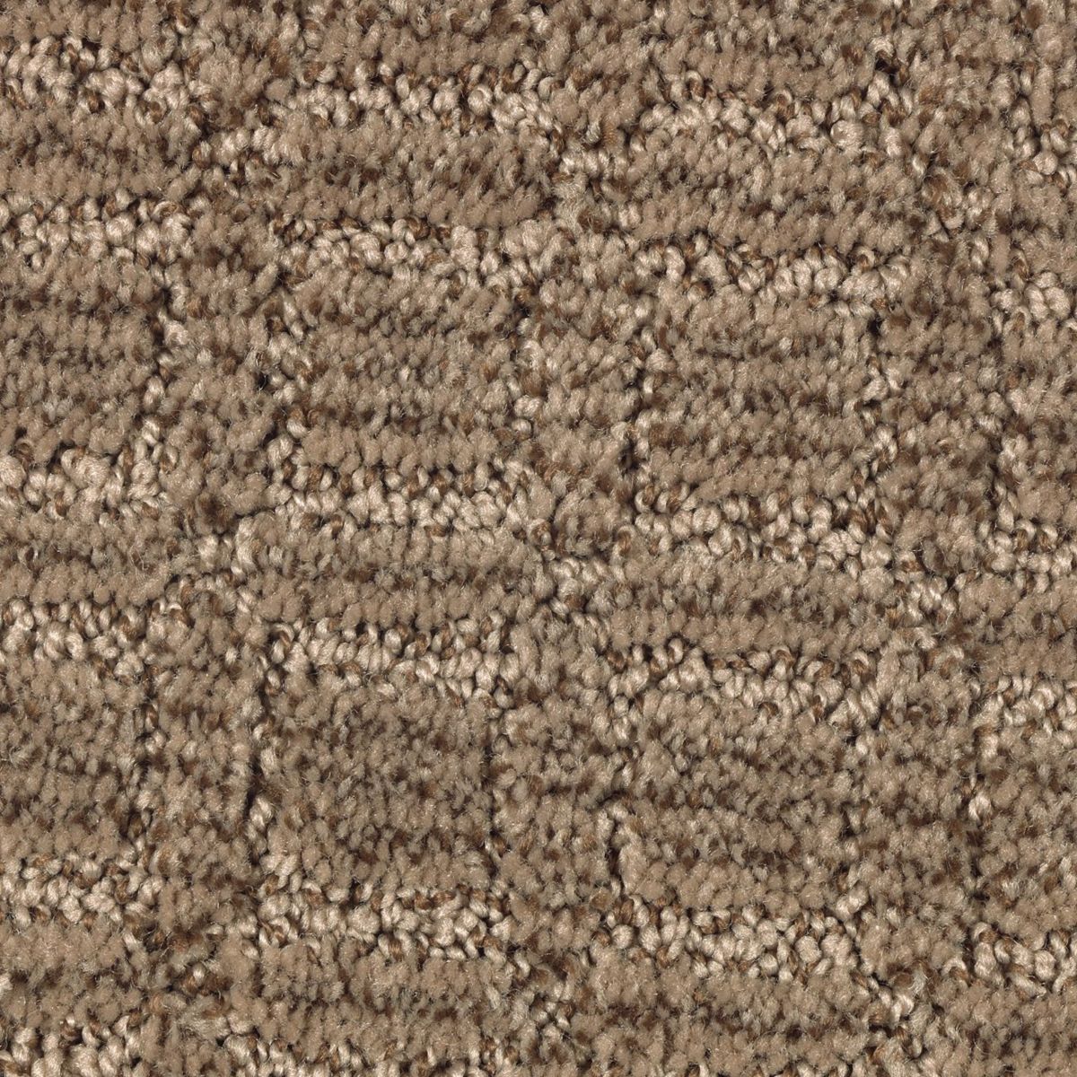 Flawless Appeal carpet in English Toffee