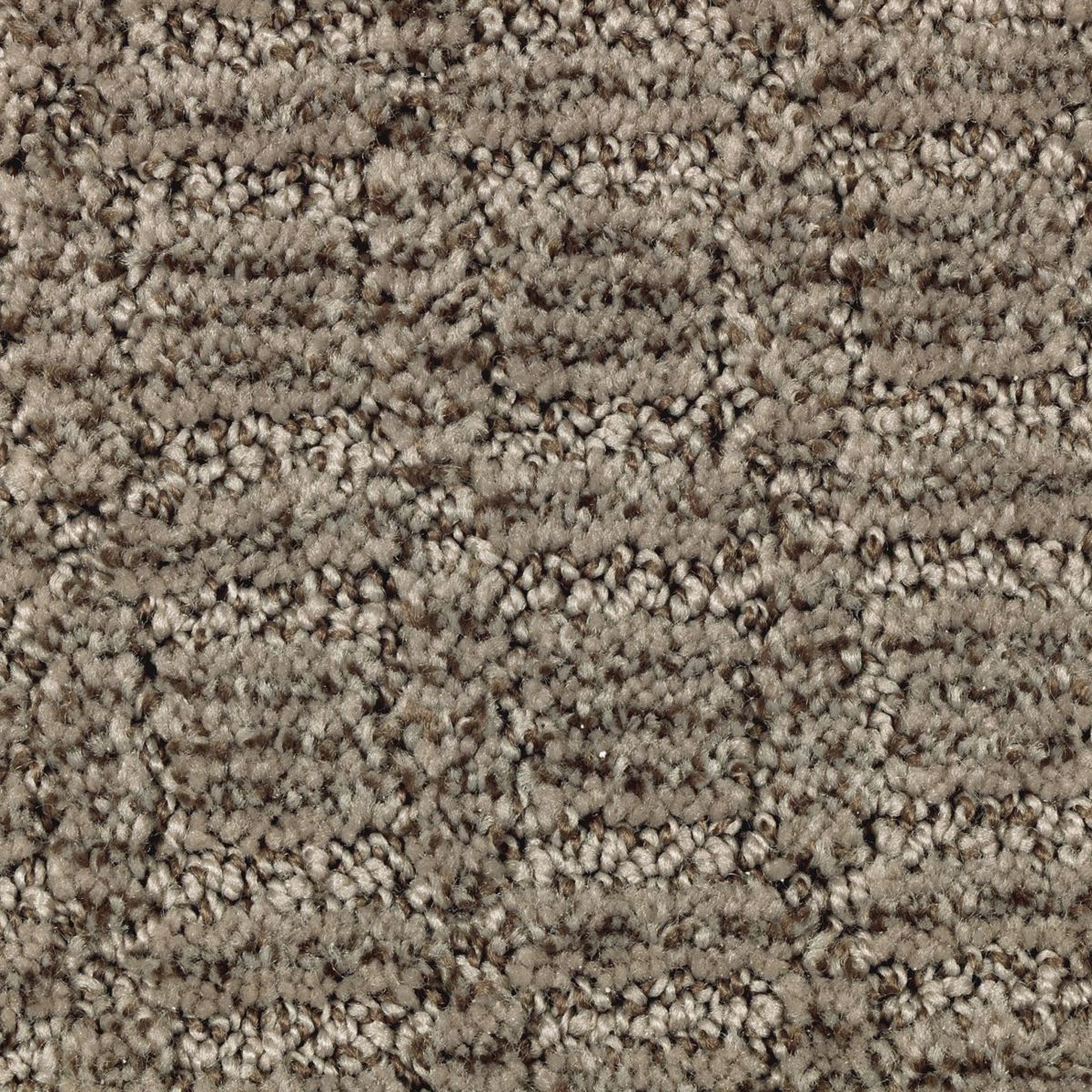 Refined Interest carpet in Rustic Taupe