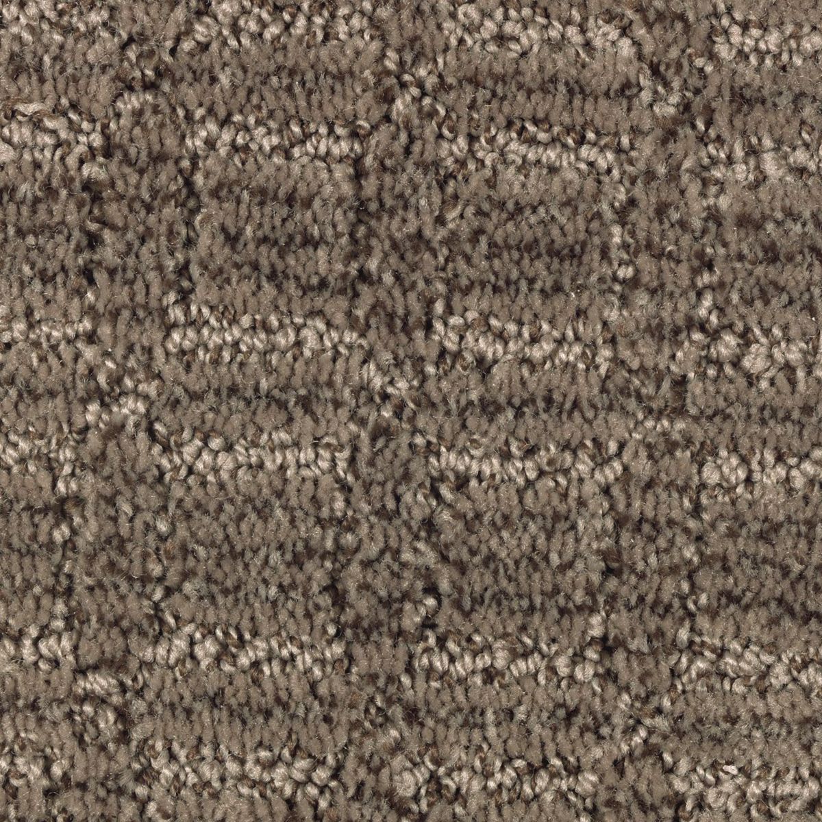 Flawless Appeal carpet in Deep Sable
