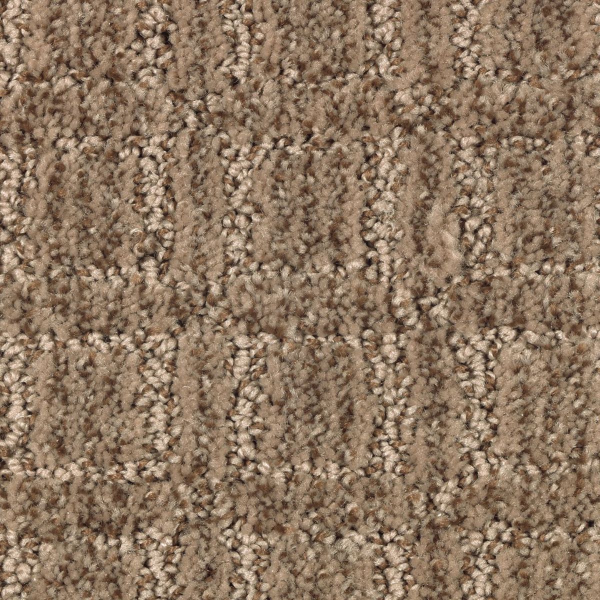 Refined Interest carpet in Crossroads