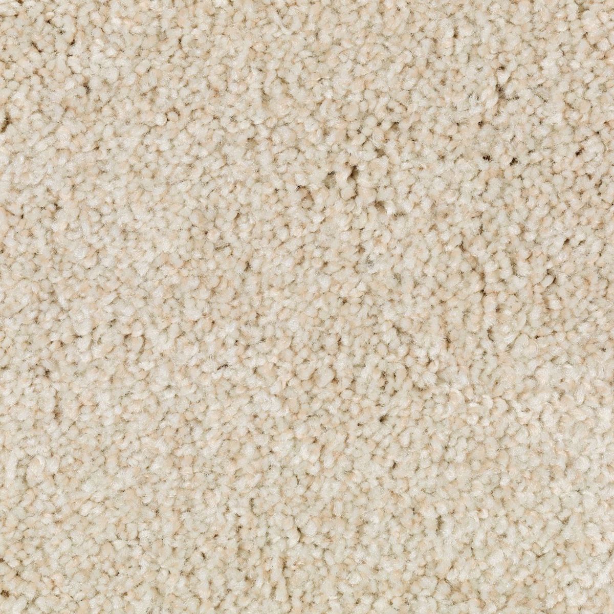 Natural Accents II carpet in Ivory Mist