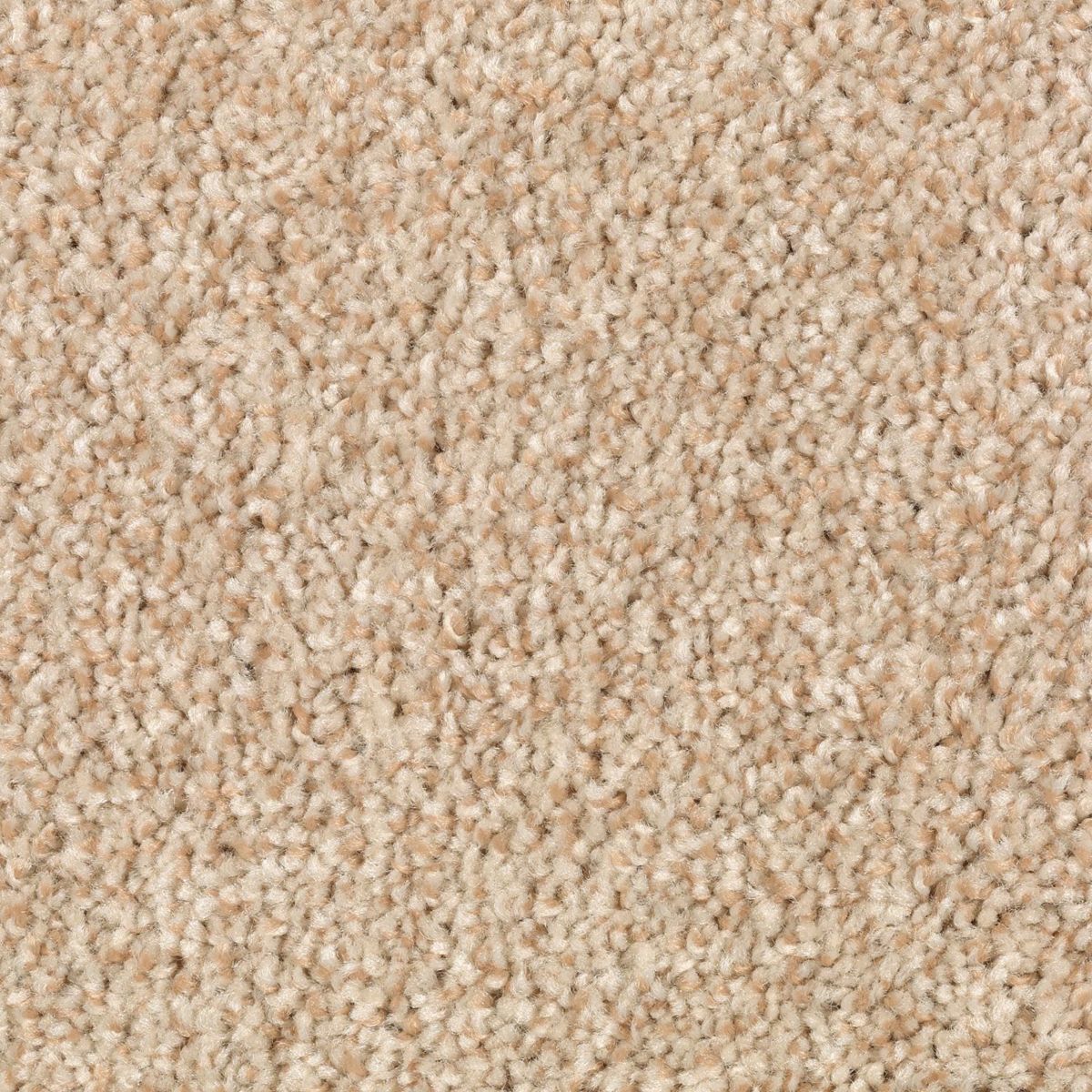 Natural Accents II carpet in Beechnut