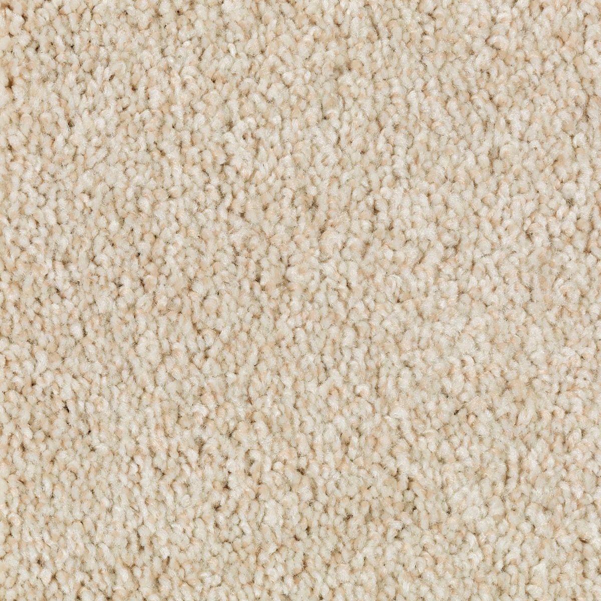 Natural Accents II carpet in Enchanting Beige