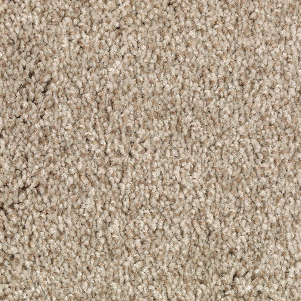Natural Accents II carpet in Crossroads