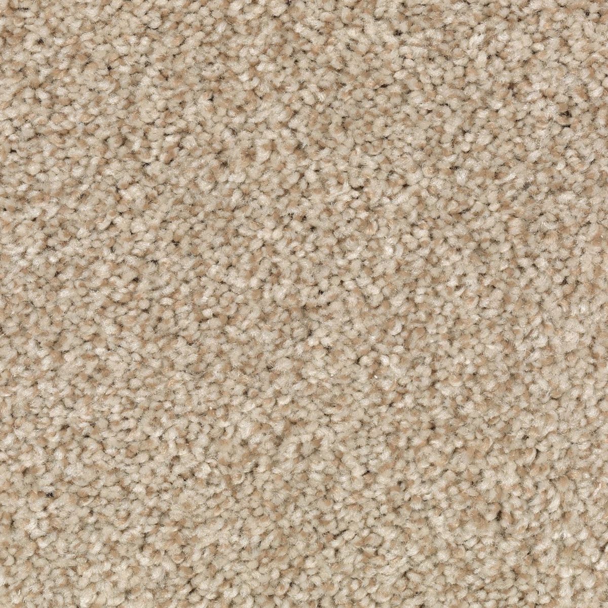 Natural Accents II carpet in Kraft Paper