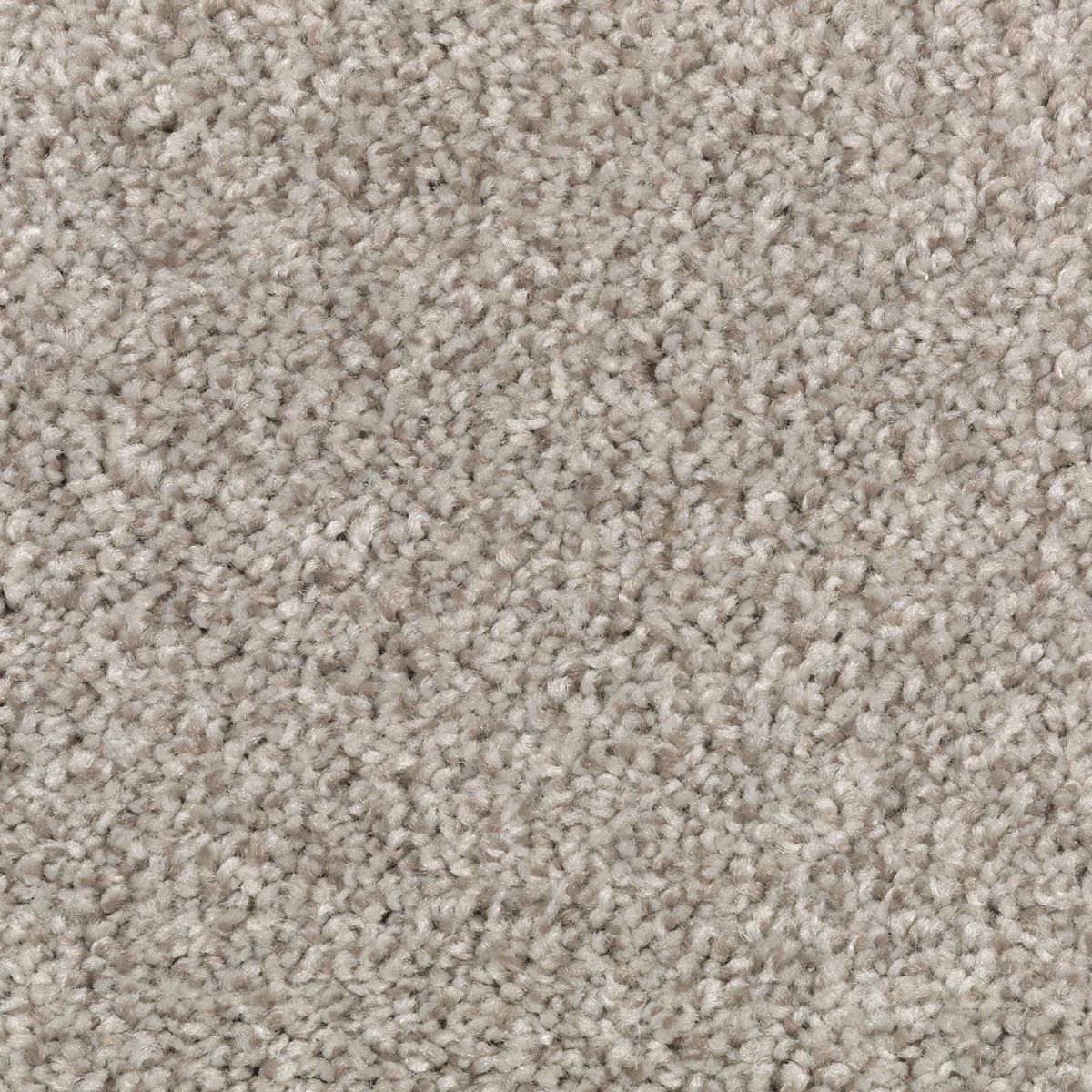 Tonal Chic II carpet in Taupe Illusion