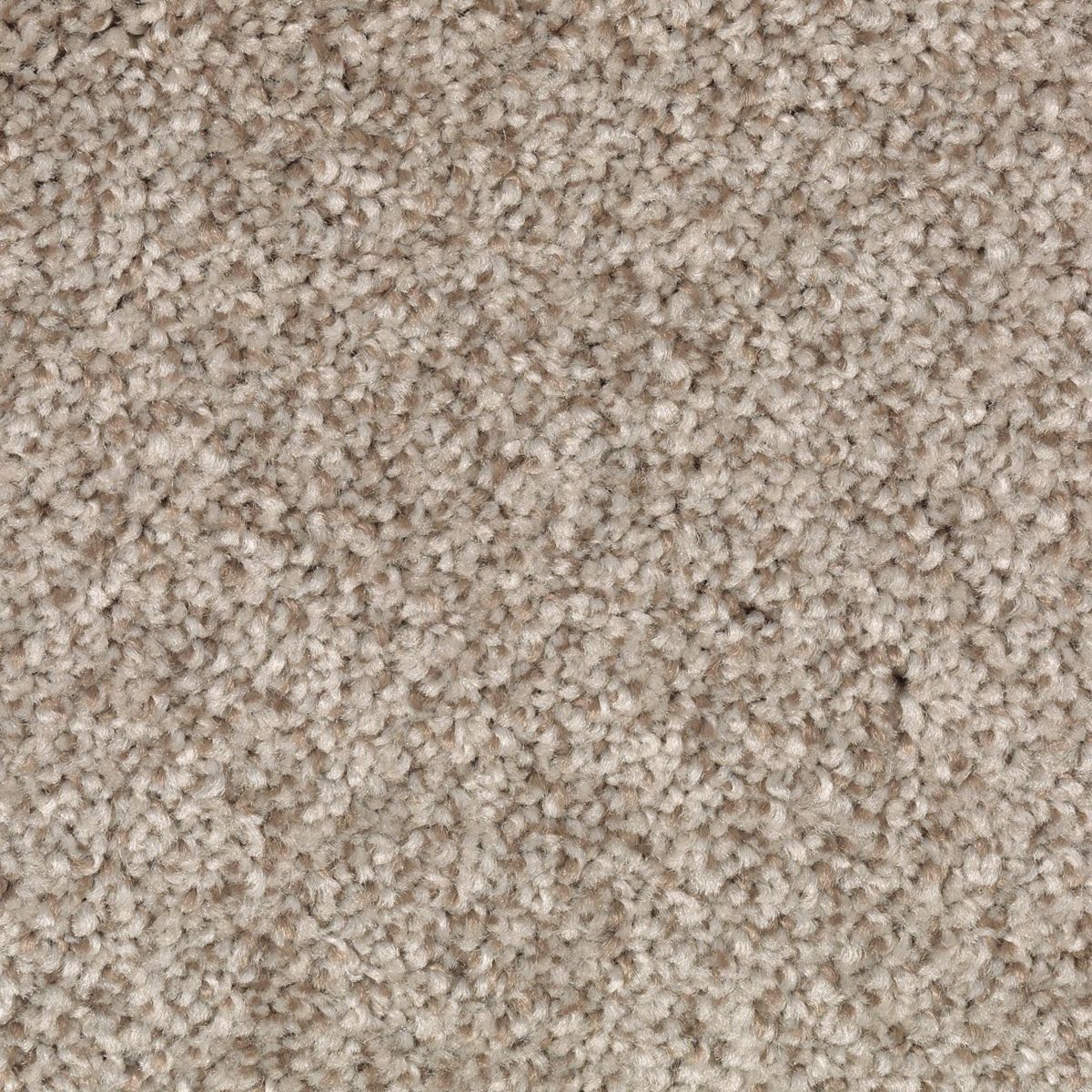Tonal Chic II carpet in Corinthian