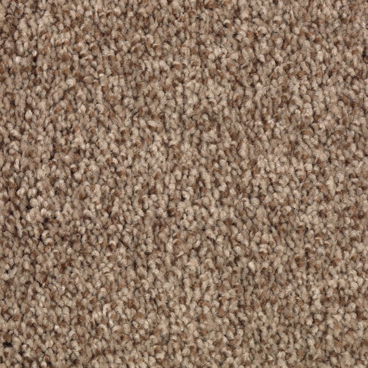Natural Accents II carpet in Desert Crackle