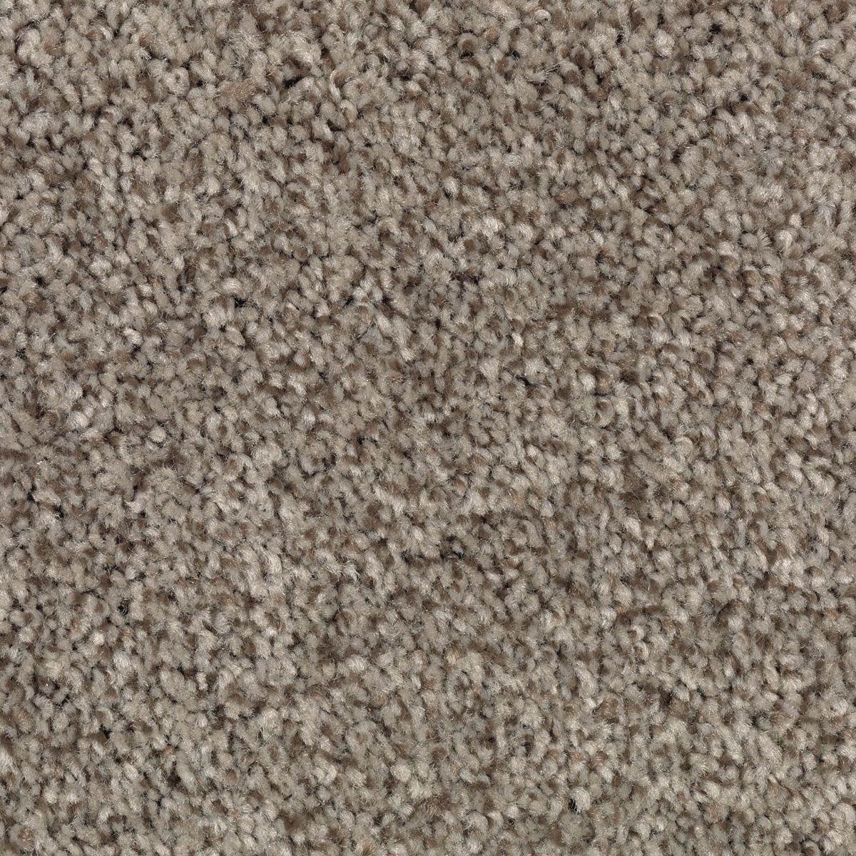 Tonal Chic II carpet in Hunting Boots