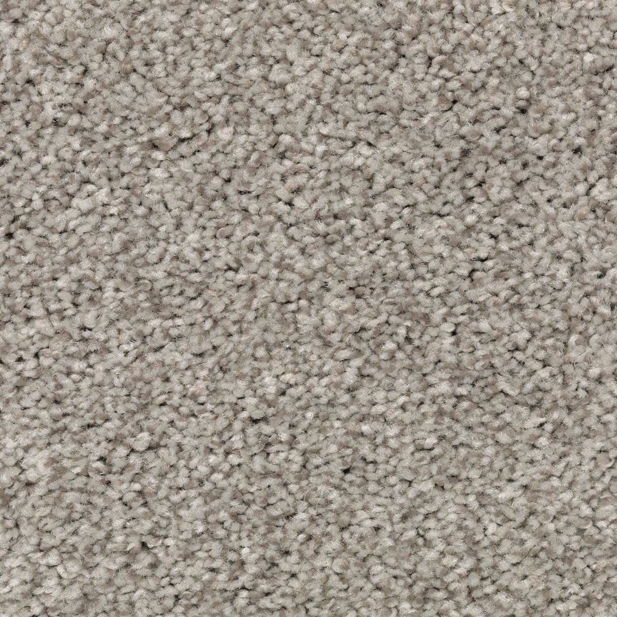 Natural Accents II carpet in Heather Grey