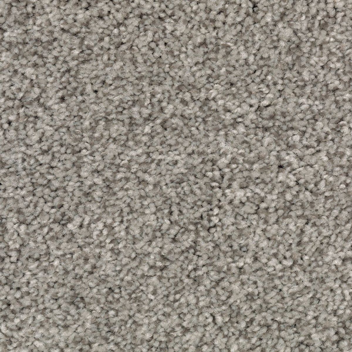 Natural Accents II carpet in Night Shadows