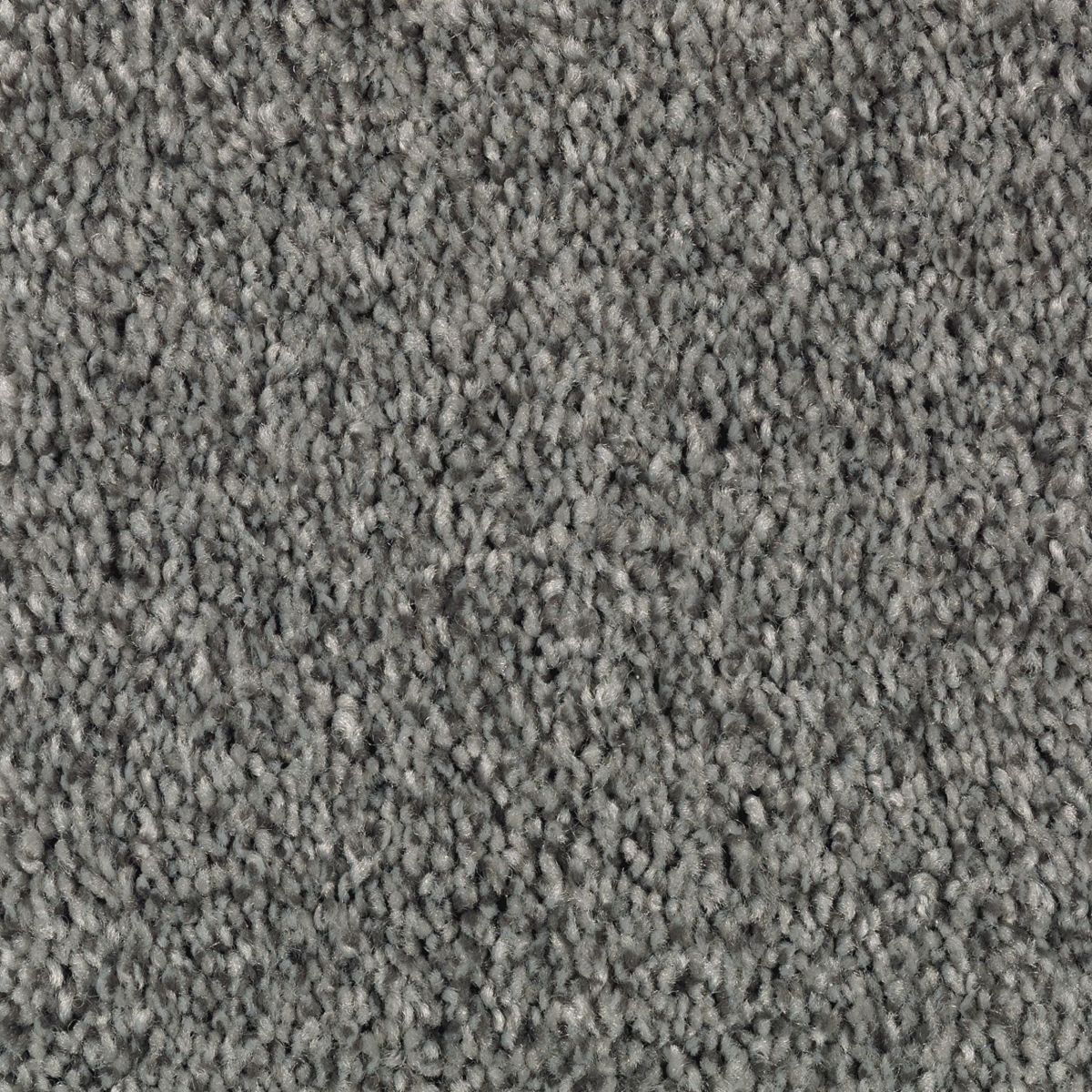 Natural Accents II carpet in Mystic Coast