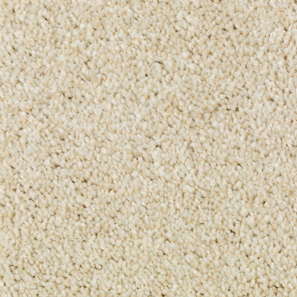 Natural Accents I carpet in Crumb Cookie