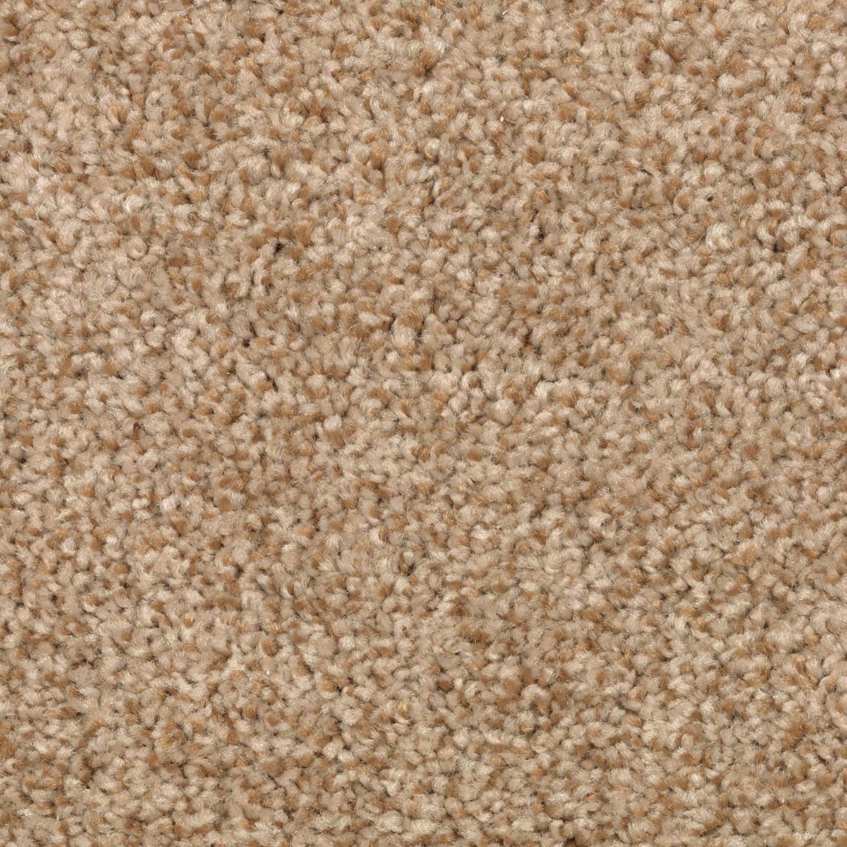 Natural Accents I carpet in Warm Nutmeg
